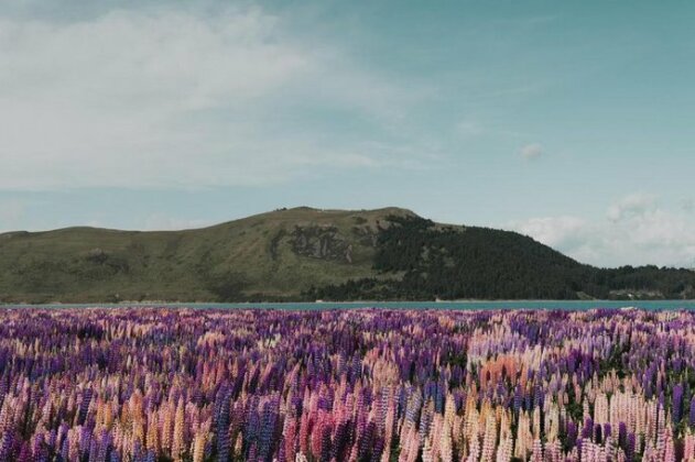 Alpine Lodges Lake Tekapo - Photo3