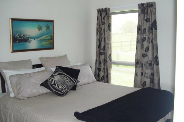 Kaimai Views Bed & Breakfast - Photo2