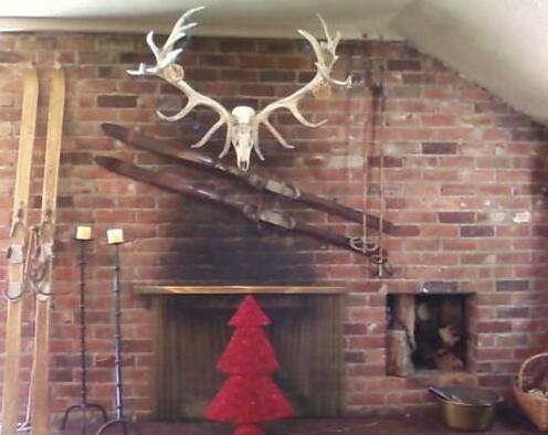 Forest Lodge Methven - Photo3