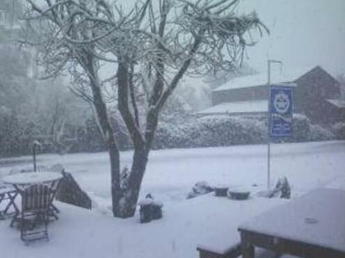 Forest Lodge Methven - Photo4