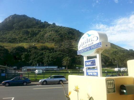 Calais Mount Resort - Photo2