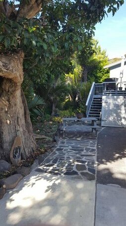 Bird Haven - Photo3