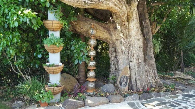 Bird Haven - Photo5
