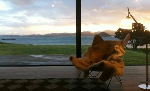 Oruawharo Cottage - Photo5