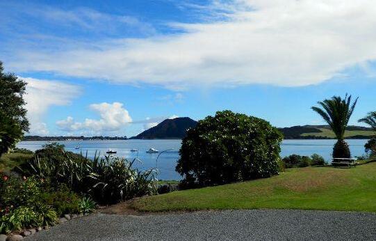 Pukenui Lodge Motel - Photo5