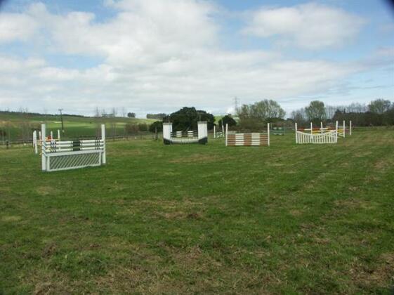 Northland Equestrian Holiday Home - Photo4