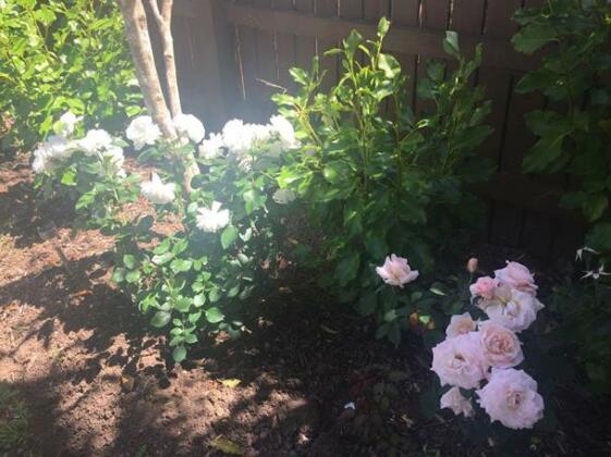111 Rest - Photo5