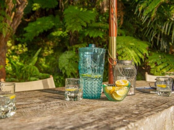 Tairua Treehouse - Tairua Holiday Home - Photo2