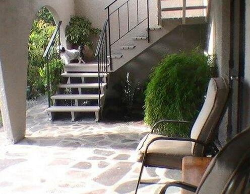 Mountview Bed & Breakfast - Photo5