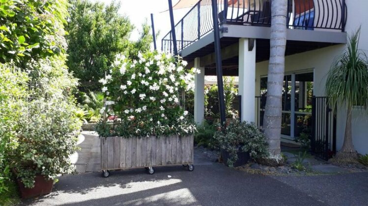 Stylish Matua Apartment - Photo5