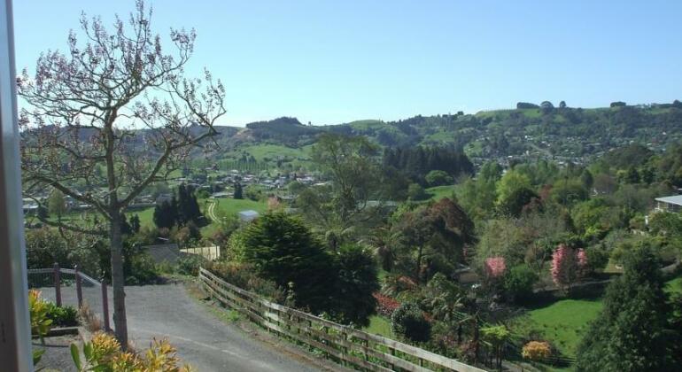 Panorama Motor Inn - Photo4