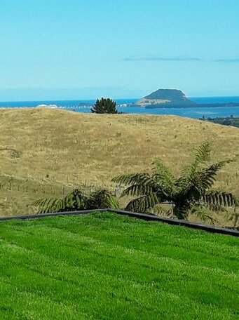 Bay of Plenty Tauranga - Photo4
