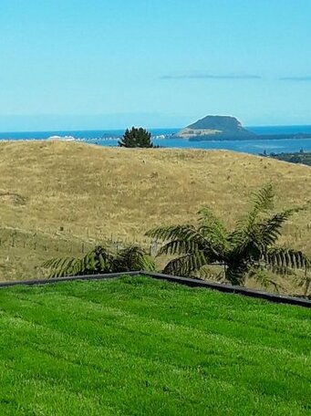 Bay of Plenty Tauranga - Photo4