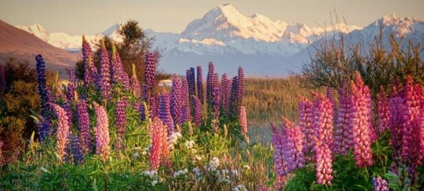 Pukaki Lakeside Getaway House