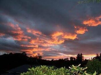 Waitomo Caves Guest Lodge