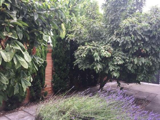 Jessie's Retreat - Photo5