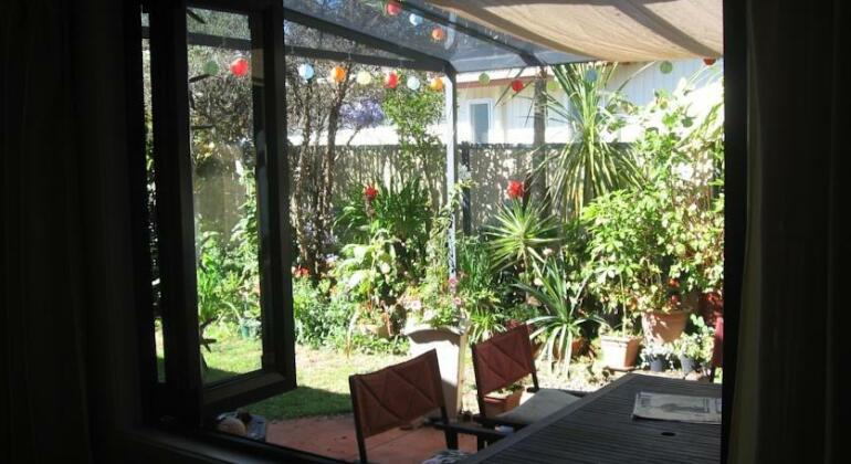 Kotuku Bed & Breakfast - Photo3