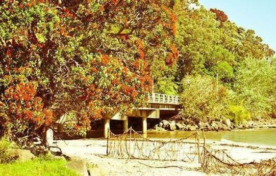 Ohuka Place Homestay - Photo3