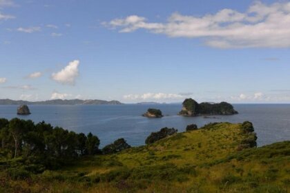 Roof Tops Whitianga