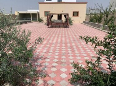 Aljabal Al Akhdar Olive Tree Guest house
