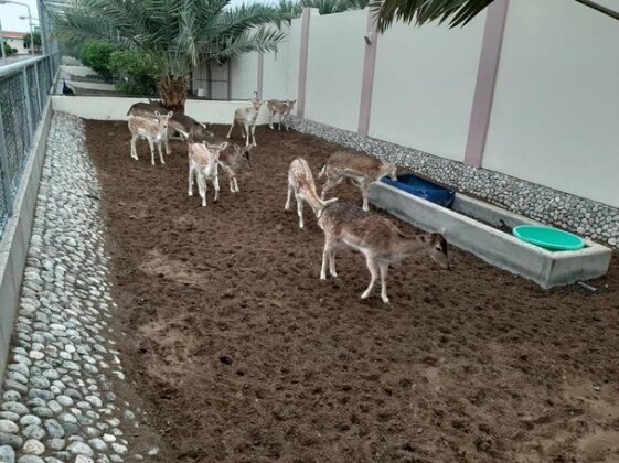 Asahalah Farm Villas - Photo5