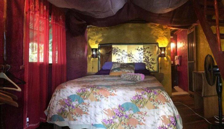 Free Spirit Oasis - Photo3
