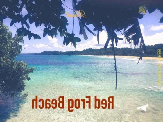 Hostal Green Coast - Photo4