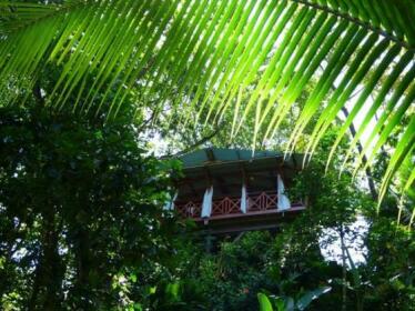Jungle Hill Eco-House