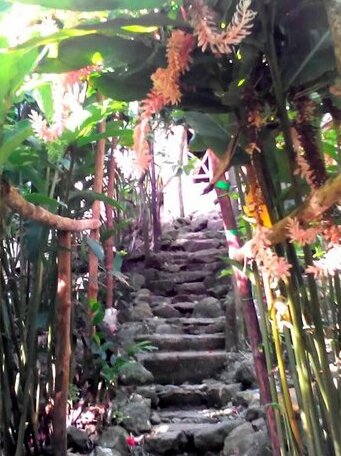 La Tree House Casita - Photo5
