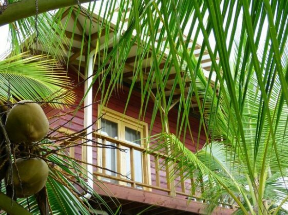 Mango House Bastimentos - Photo2