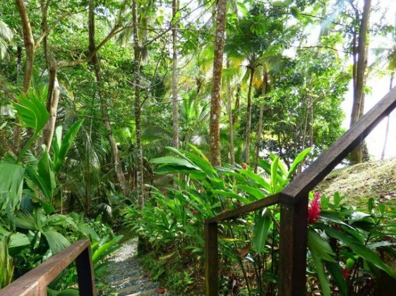 Red Ginger Eco-House - Photo4