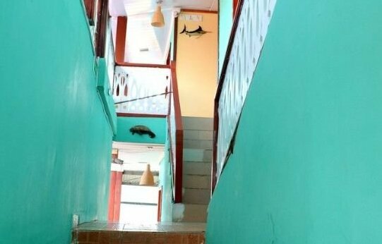 Bocas Reef Hotel - Photo3