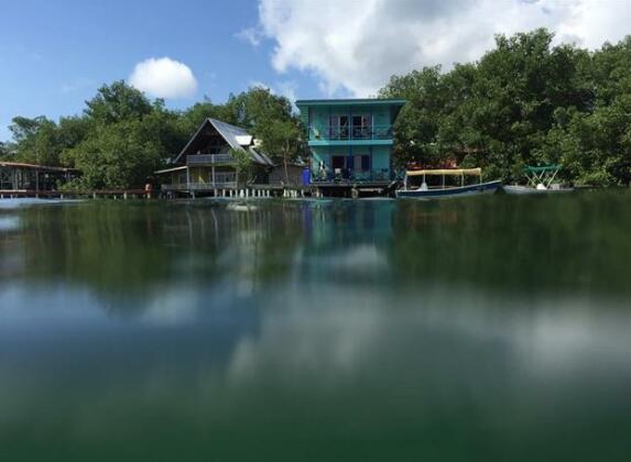 Caribbean's Colors - Photo2