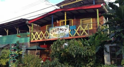 Coconut Hostel