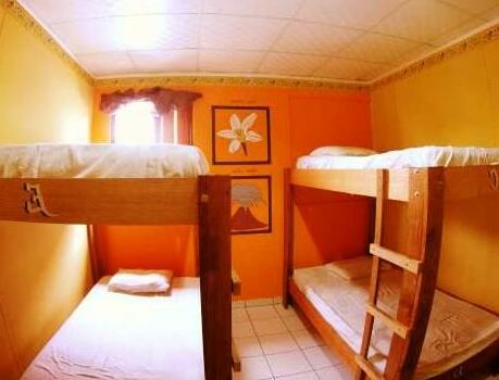 Hostal Caribbean Lodge - Photo4