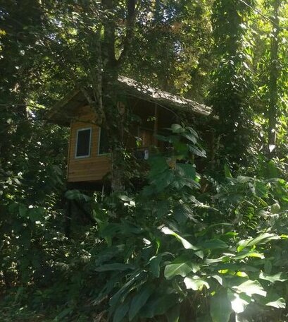 Jungle Paunch - Photo4