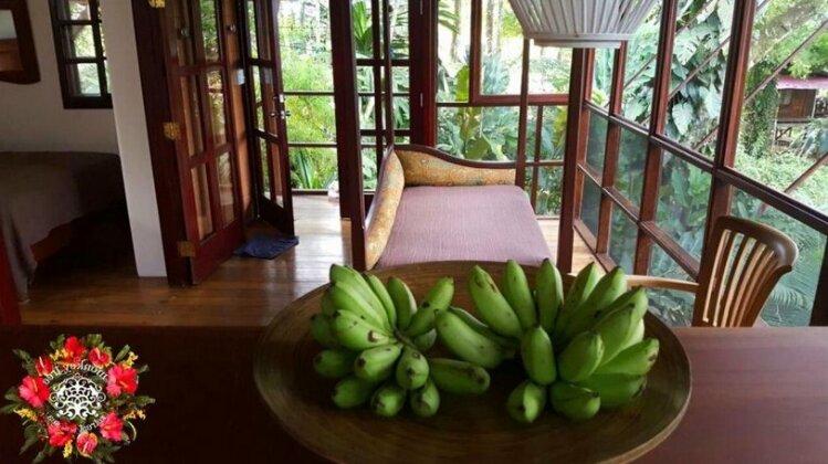 Monkey Tree Retreat by the Sea - Photo4