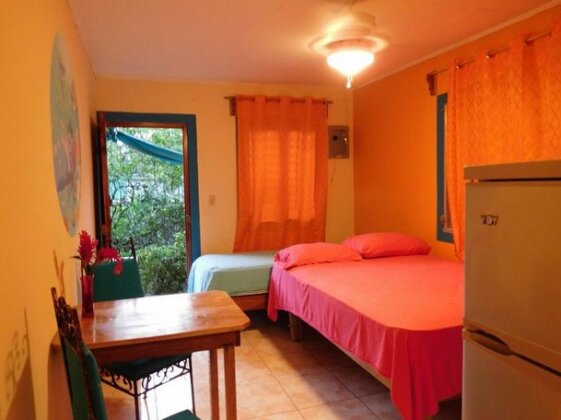 Petra's Calle 8 - Photo4