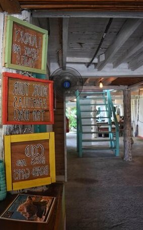 Twin Fin Hostels - Photo2