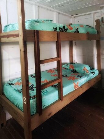 Twin Fin Hostels - Photo4