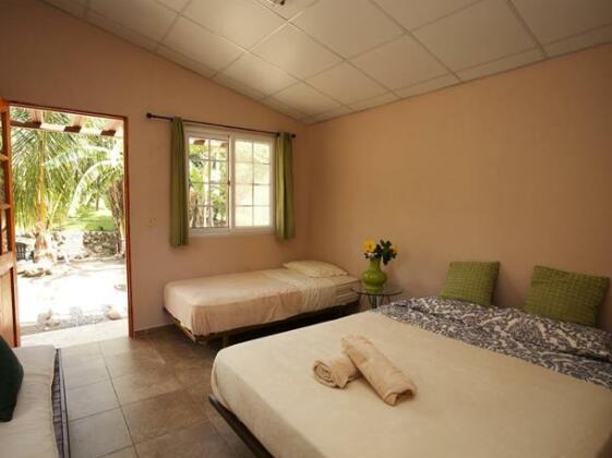 Hostal Gaia - Photo4