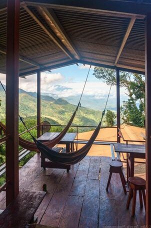 Lost and Found Jungle Hostel - Photo2