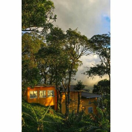 Lost and Found Jungle Hostel - Photo3
