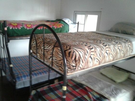 Lost and Found Jungle Hostel - Photo4