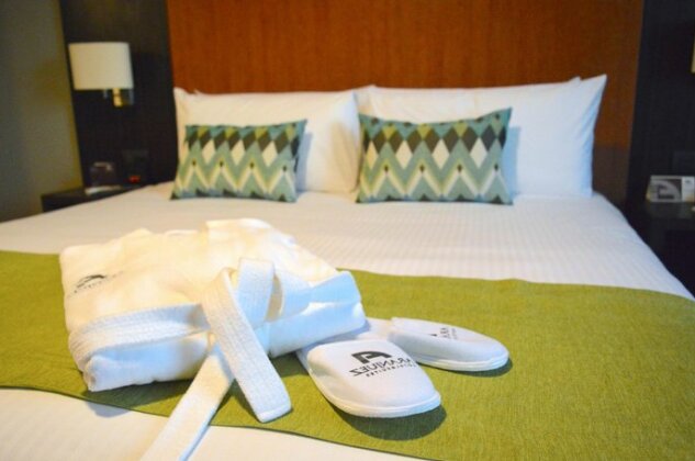 Aranjuez Hotel & Suites - Photo5