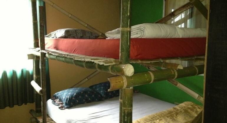 Roots Hostel - Photo3