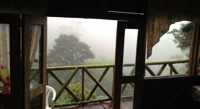 Roots Hostel - Photo4