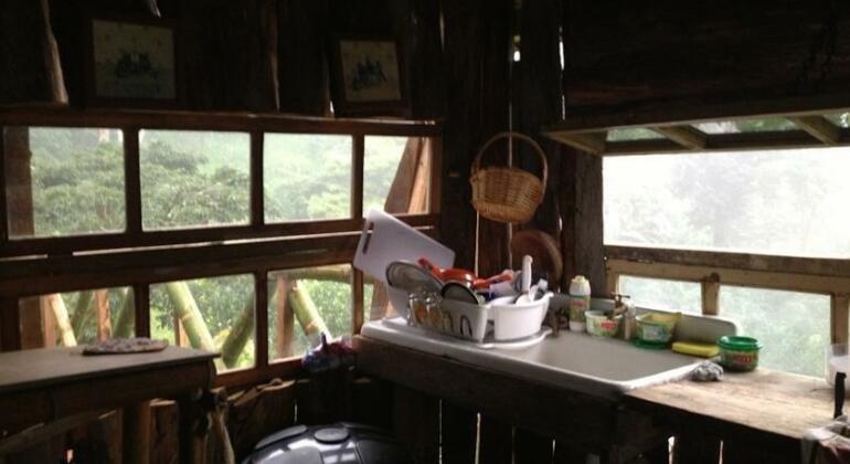 Roots Hostel - Photo5