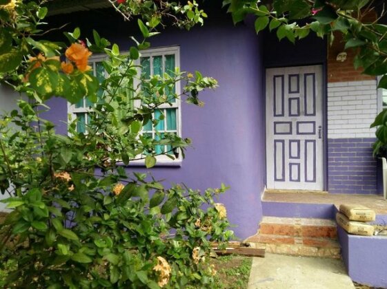 The Purple House International Backpacker Hostel - Photo2