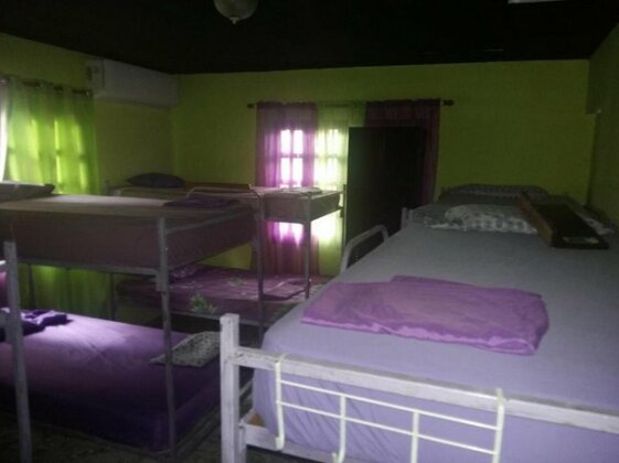 The Purple House International Backpacker Hostel - Photo5